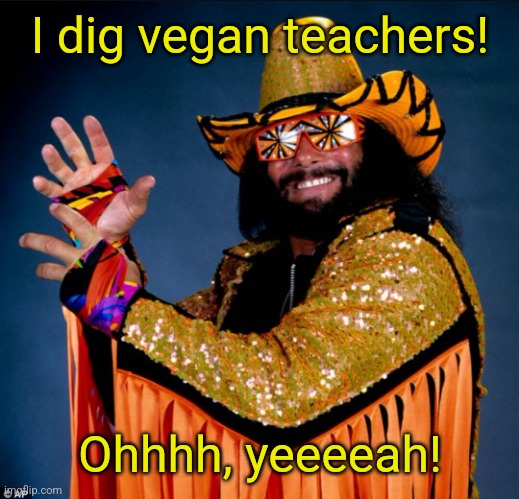 Macho man Randy savage | I dig vegan teachers! Ohhhh, yeeeeah! | image tagged in macho man randy savage | made w/ Imgflip meme maker