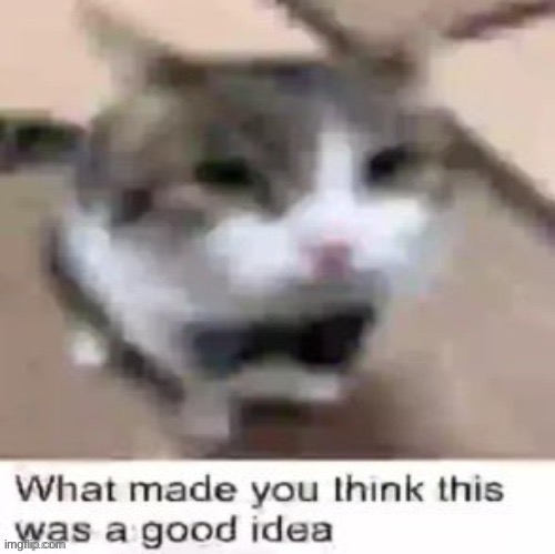 What made you think this was a good idea | image tagged in what made you think this was a good idea | made w/ Imgflip meme maker