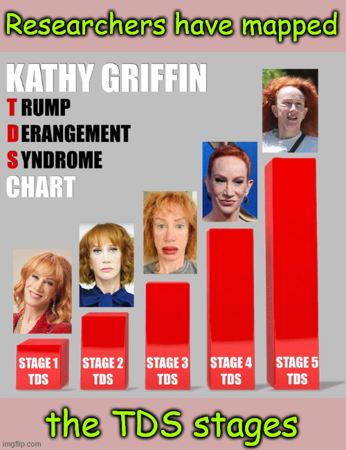 TDS stages | Researchers have mapped; the TDS stages | image tagged in tds,stages,mapped | made w/ Imgflip meme maker