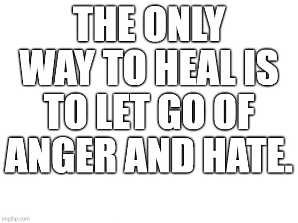 THE ONLY WAY TO HEAL IS TO LET GO OF ANGER AND HATE. | image tagged in love wins | made w/ Imgflip meme maker