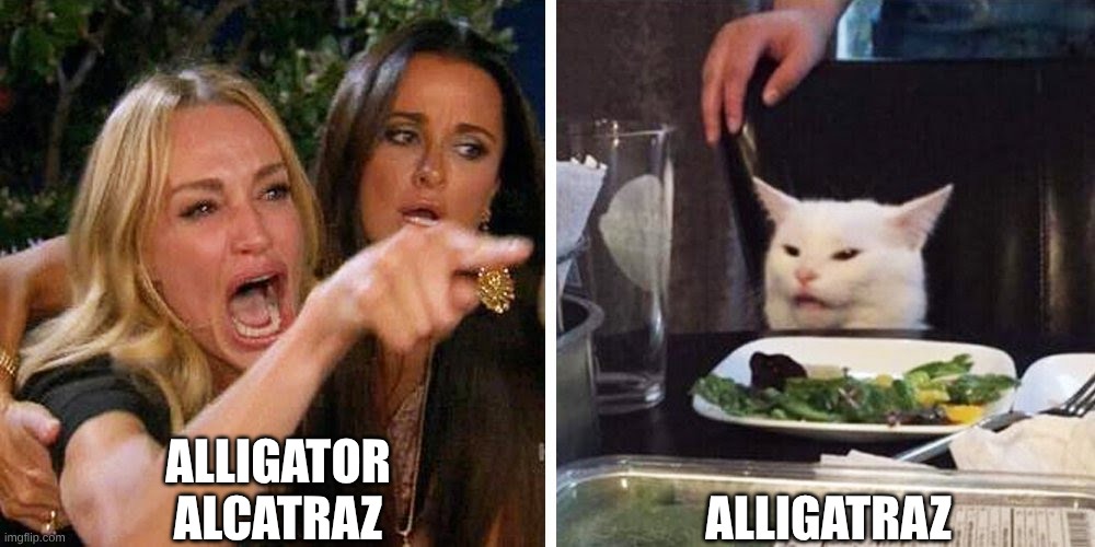 alligatraz | ALLIGATOR ALCATRAZ; ALLIGATRAZ | image tagged in smudge the cat | made w/ Imgflip meme maker