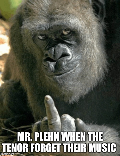 MR. PLEHN WHEN THE TENOR FORGET THEIR MUSIC | made w/ Imgflip meme maker
