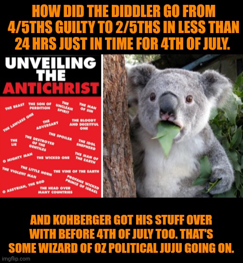 Funny | HOW DID THE DIDDLER GO FROM 4/5THS GUILTY TO 2/5THS IN LESS THAN 24 HRS JUST IN TIME FOR 4TH OF JULY. AND KOHBERGER GOT HIS STUFF OVER WITH BEFORE 4TH OF JULY TOO. THAT'S SOME WIZARD OF OZ POLITICAL JUJU GOING ON. | image tagged in funny,politics,diddy,idaho,new york,trial | made w/ Imgflip meme maker
