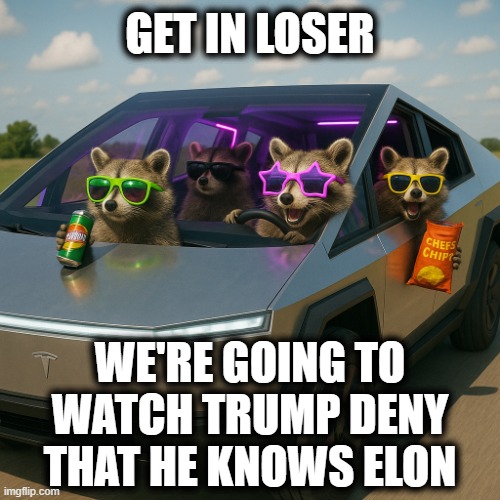 Trump v Elon | GET IN LOSER; WE'RE GOING TO WATCH TRUMP DENY THAT HE KNOWS ELON | image tagged in dumpster | made w/ Imgflip meme maker