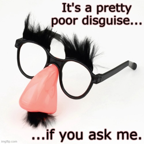 It's a pretty poor disguise... ...if you ask me. | made w/ Imgflip meme maker