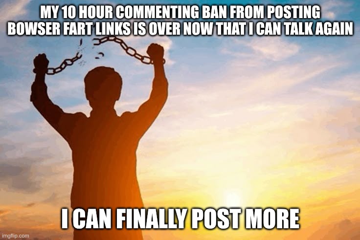 YIPPEE | MY 10 HOUR COMMENTING BAN FROM POSTING BOWSER FART LINKS IS OVER NOW THAT I CAN TALK AGAIN; I CAN FINALLY POST MORE | image tagged in moderation system,bowser fart | made w/ Imgflip meme maker