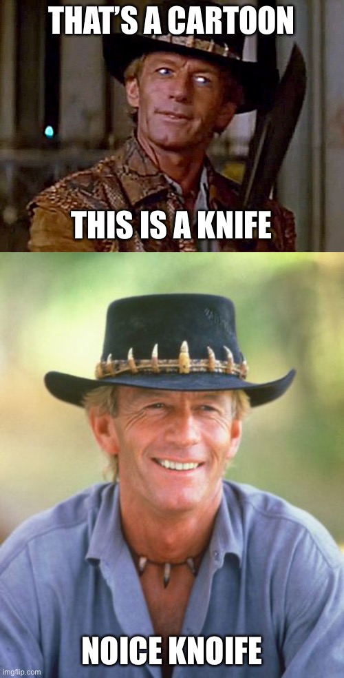 THAT’S A CARTOON; THIS IS A KNIFE; NOICE KNOIFE | image tagged in crocodile dundee knife,noice | made w/ Imgflip meme maker