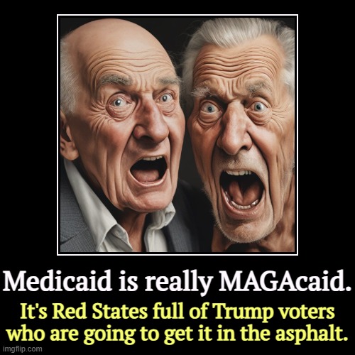 Coastal elites will survive. Heartland Trump voters, less so. | Medicaid is really MAGAcaid. | It's Red States full of Trump voters who are going to get it in the asphalt. | image tagged in funny,demotivationals,trump,medicaid,maga,tax cuts for the rich | made w/ Imgflip demotivational maker