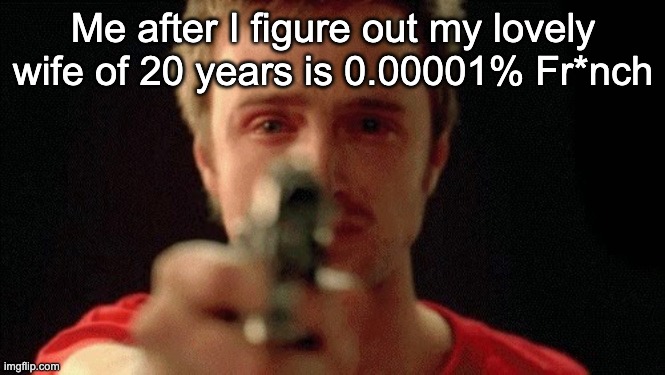 jesse pinkman pointing gun | Me after I figure out my lovely wife of 20 years is 0.00001% Fr*nch | image tagged in jesse pinkman pointing gun | made w/ Imgflip meme maker