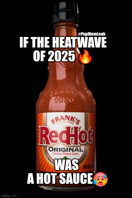 If the of heatwave2025 was a hot sauce! | #PupMomLeah; IF THE HEATWAVE 
OF 2025 🔥; WAS
 A HOT SAUCE🥵 | image tagged in if 2020 hot sauce | made w/ Imgflip meme maker