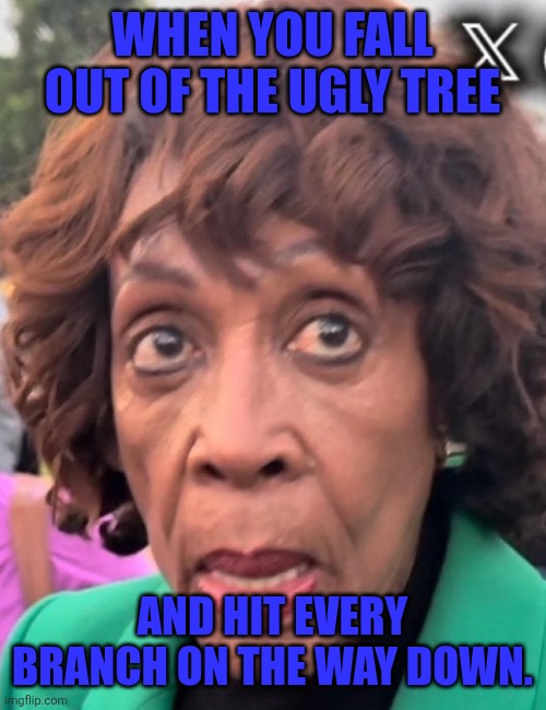 Somebody fell out of the ugly tree. | WHEN YOU FALL OUT OF THE UGLY TREE; AND HIT EVERY BRANCH ON THE WAY DOWN. | image tagged in maxine waters | made w/ Imgflip meme maker