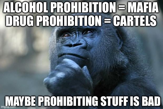 Deep Thoughts | ALCOHOL PROHIBITION = MAFIA
DRUG PROHIBITION = CARTELS; MAYBE PROHIBITING STUFF IS BAD | image tagged in deep thoughts | made w/ Imgflip meme maker