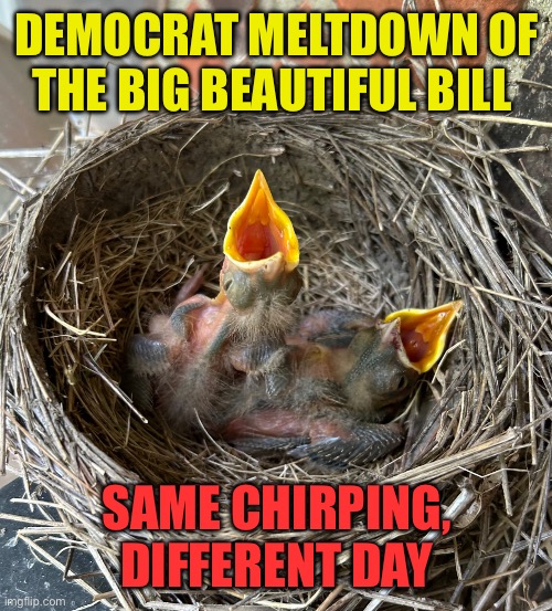 Democrats, nothing but noise. | DEMOCRAT MELTDOWN OF THE BIG BEAUTIFUL BILL; SAME CHIRPING, DIFFERENT DAY | image tagged in chirping,democrats,democratic socialism,clueless | made w/ Imgflip meme maker