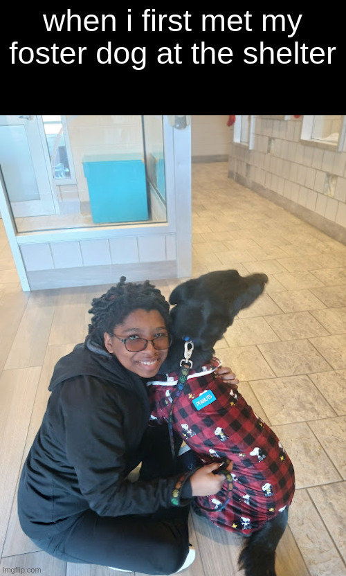 when i first met my foster dog at the shelter | made w/ Imgflip meme maker