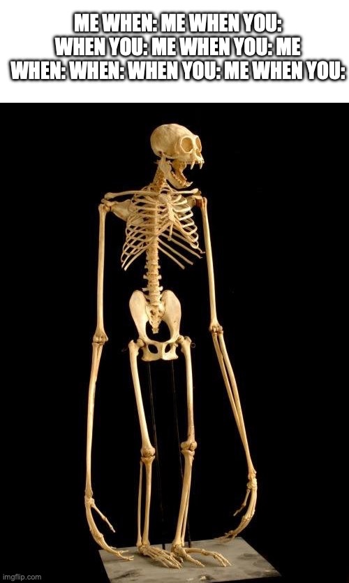 me when I try to caption my life: | ME WHEN: ME WHEN YOU: WHEN YOU: ME WHEN YOU: ME WHEN: WHEN: WHEN YOU: ME WHEN YOU: | image tagged in blank white template,ape skeleton | made w/ Imgflip meme maker