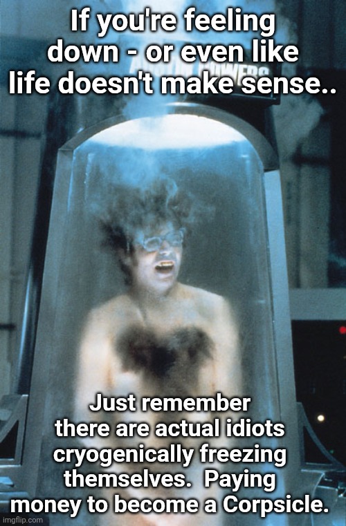 Cheer up! | If you're feeling down - or even like life doesn't make sense.. Just remember there are actual idiots cryogenically freezing themselves.  Paying money to become a Corpsicle. | image tagged in austin powers cryogen | made w/ Imgflip meme maker