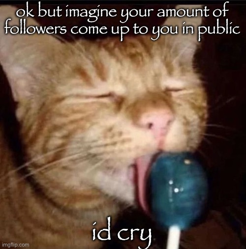 silly goober 2 | ok but imagine your amount of followers come up to you in public; id cry | image tagged in silly goober 2 | made w/ Imgflip meme maker