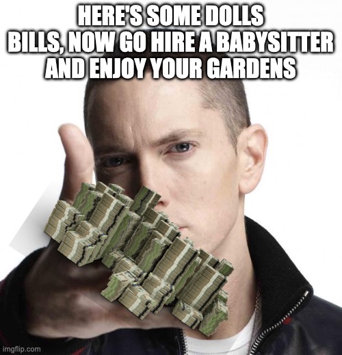 Eminem video game logic | HERE'S SOME DOLLS BILLS, NOW GO HIRE A BABYSITTER AND ENJOY YOUR GARDENS | image tagged in eminem video game logic | made w/ Imgflip meme maker