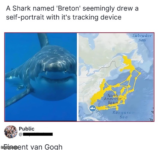 Shark Artist | image tagged in dad joke,comment,artist,shark | made w/ Imgflip meme maker