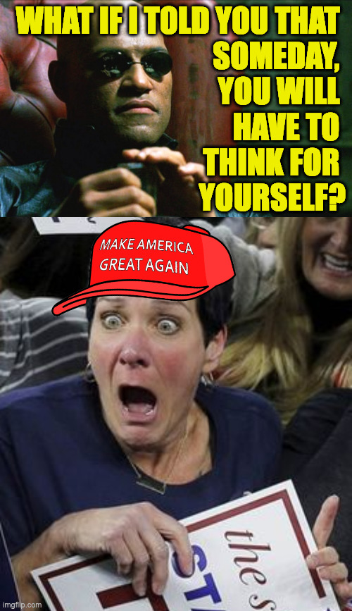 Such a thing would be greater than all the magic and all the treasures in all the world! | WHAT IF I TOLD YOU THAT 
SOMEDAY, 
YOU WILL 
HAVE TO 
THINK FOR 
YOURSELF? | image tagged in laurence fishburne morpheus,memes,trump supporter shocked,think for yourself | made w/ Imgflip meme maker