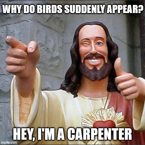 Why do birds suddenly appear! | WHY DO BIRDS SUDDENLY APPEAR? HEY, I'M A CARPENTER | image tagged in memes,buddy christ,the carpenters | made w/ Imgflip meme maker