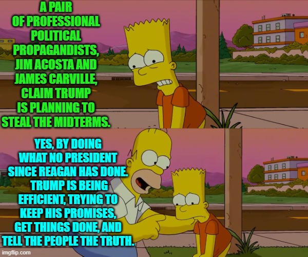 Gasp!  It's almost as if Trump isn't a professional politician! | A PAIR OF PROFESSIONAL POLITICAL PROPAGANDISTS, JIM ACOSTA AND JAMES CARVILLE, CLAIM TRUMP IS PLANNING TO STEAL THE MIDTERMS. YES, BY DOING WHAT NO PRESIDENT SINCE REAGAN HAS DONE.  TRUMP IS BEING EFFICIENT, TRYING TO KEEP HIS PROMISES, GET THINGS DONE, AND TELL THE PEOPLE THE TRUTH. | image tagged in homer and bart worst day so far | made w/ Imgflip meme maker