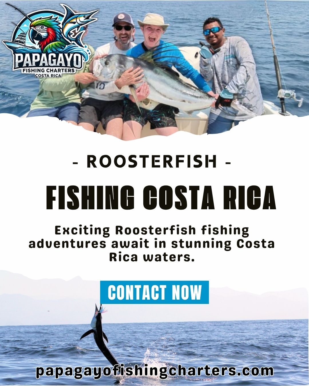 Roosterfish Fishing Costa Rica Blank Meme Template