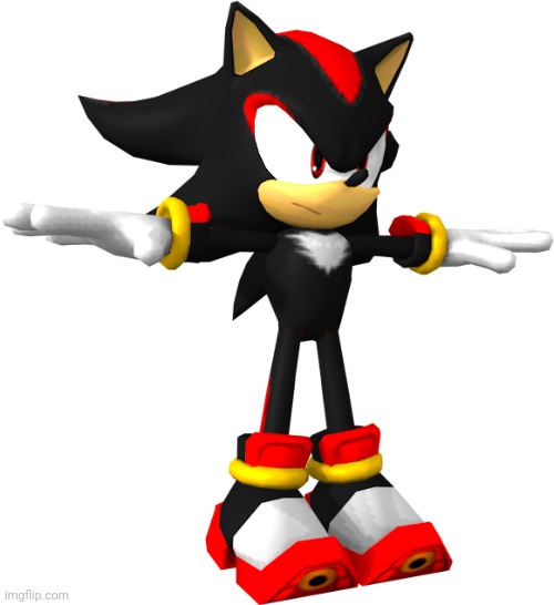 image tagged in shadow the hedgehog t pose | made w/ Imgflip meme maker
