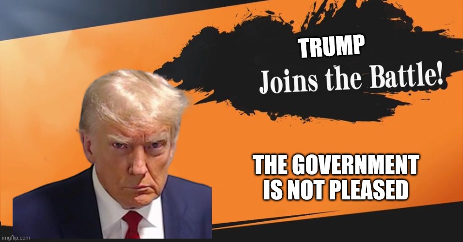 Smash Bros. | TRUMP THE GOVERNMENT IS NOT PLEASED | image tagged in smash bros | made w/ Imgflip meme maker
