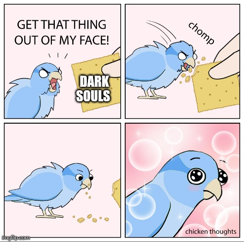 wasn't a fan of dark souls before | DARK SOULS | image tagged in bird cracker,dark souls | made w/ Imgflip meme maker