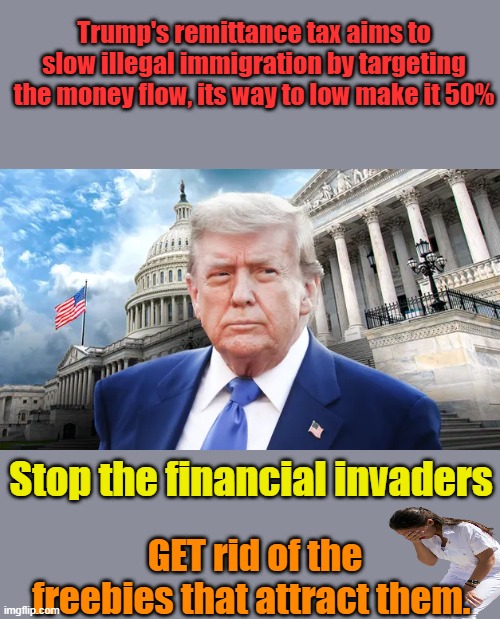 Get rid of the cheese, the pest goes away. | Trump's remittance tax aims to slow illegal immigration by targeting the money flow, its way to low make it 50%; Stop the financial invaders; GET rid of the freebies that attract them. | made w/ Imgflip meme maker