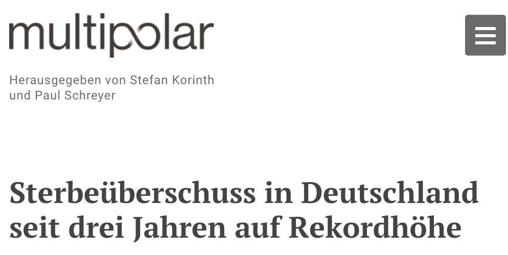 Excess Mortality Übersterblichkeit Deutschland 2024 Blank Meme Template