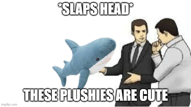 blahaj sharks are cute :) | *SLAPS HEAD*; THESE PLUSHIES ARE CUTE | image tagged in slaps roof | made w/ Imgflip meme maker
