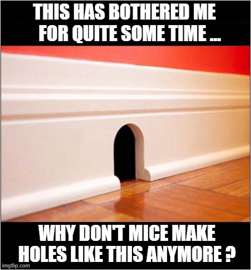 One Of Lifes Little Mysteries | THIS HAS BOTHERED ME
   FOR QUITE SOME TIME ... WHY DON'T MICE MAKE HOLES LIKE THIS ANYMORE ? | image tagged in mystery,mouse,holes | made w/ Imgflip meme maker