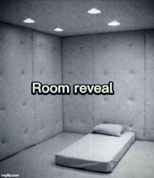 The CEO of silliness | image tagged in memez,padded room,skitzo frenik,bye polur | made w/ Imgflip meme maker