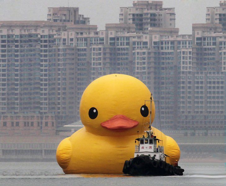 big duck Blank Meme Template