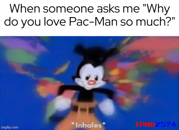 I ether go the short way or make it look like a 5 to 10 minute voiced essay (hopefully they don't get bored tho) | When someone asks me "Why do you love Pac-Man so much?" | image tagged in yakko inhale,pacman | made w/ Imgflip meme maker