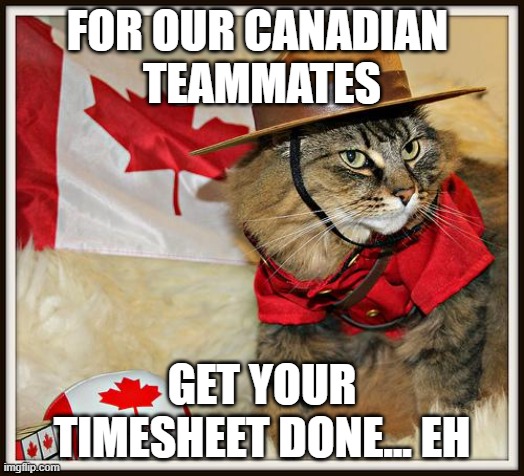 mounty cat timesheet | FOR OUR CANADIAN 
TEAMMATES; GET YOUR TIMESHEET DONE... EH | image tagged in canada cat | made w/ Imgflip meme maker