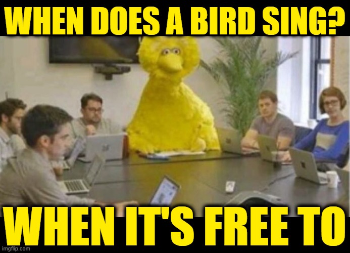 Big Bird at Meeting | WHEN DOES A BIRD SING? WHEN IT'S FREE TO | image tagged in big bird at meeting | made w/ Imgflip meme maker