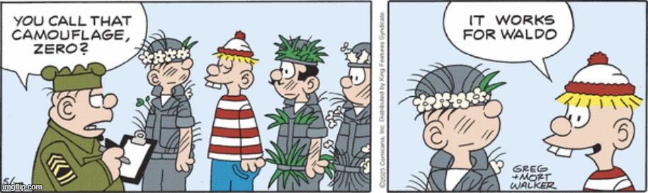 Beetle Bailey | image tagged in comics | made w/ Imgflip meme maker