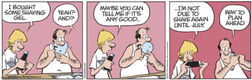 Zits | image tagged in comics | made w/ Imgflip meme maker