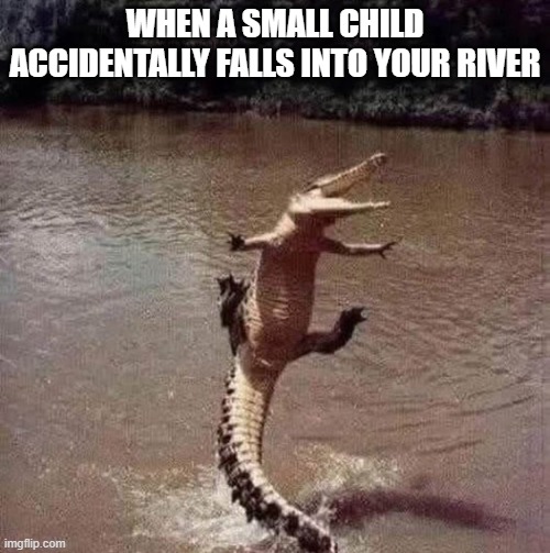 Happy Gator | WHEN A SMALL CHILD ACCIDENTALLY FALLS INTO YOUR RIVER | image tagged in dark humor | made w/ Imgflip meme maker