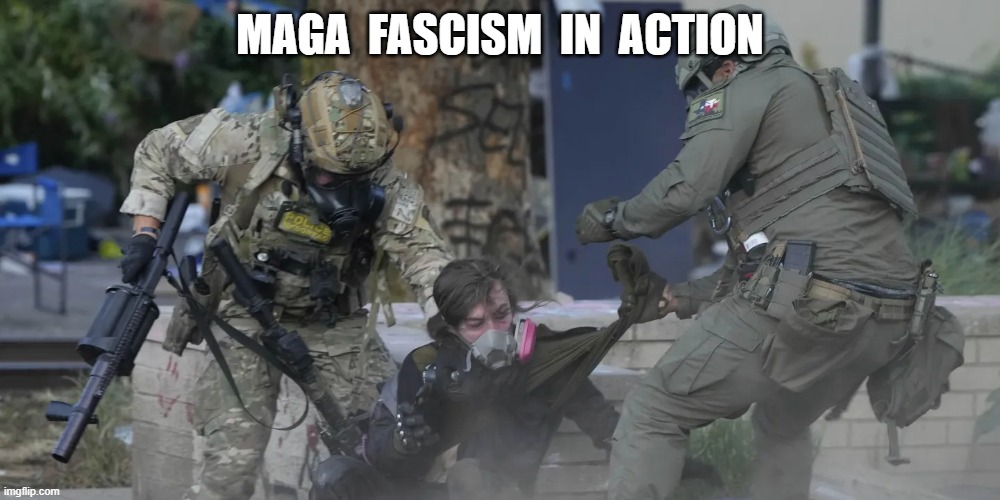 What Are They So Afraid Of? | MAGA  FASCISM  IN  ACTION | made w/ Imgflip meme maker