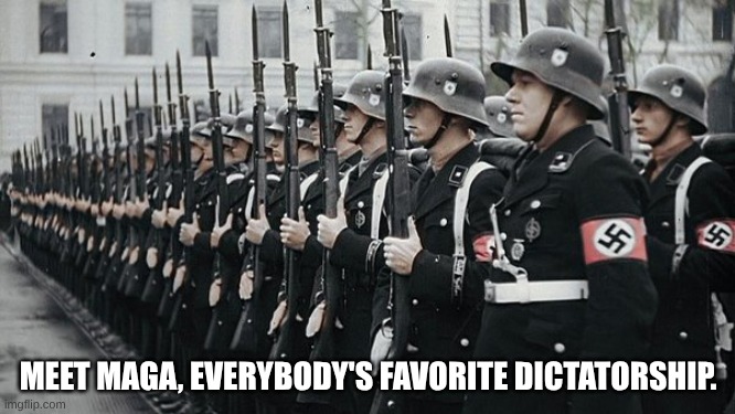 for real though | MEET MAGA, EVERYBODY'S FAVORITE DICTATORSHIP. | image tagged in nazi soldiers | made w/ Imgflip meme maker
