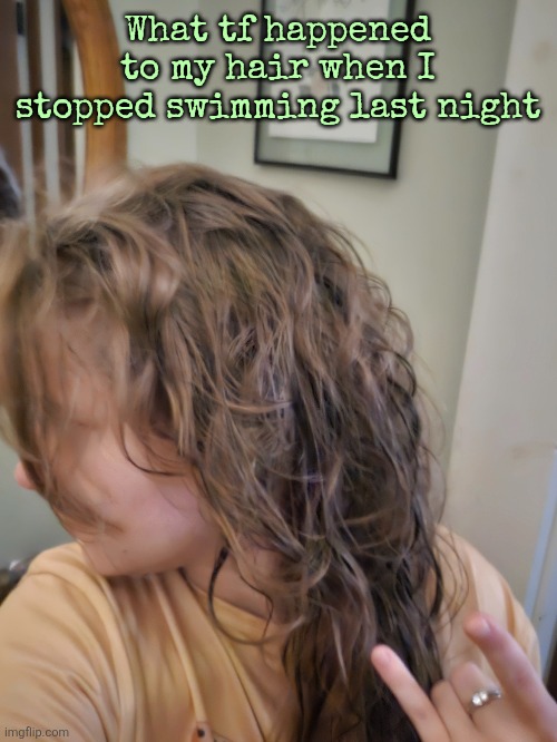What tf happened to my hair when I stopped swimming last night | made w/ Imgflip meme maker