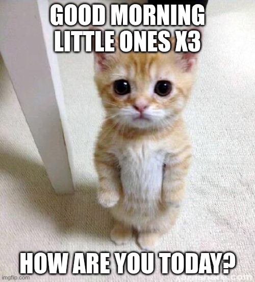 Good Morning Little Ones X3 | GOOD MORNING LITTLE ONES X3; HOW ARE YOU TODAY? | image tagged in memes,cute cat | made w/ Imgflip meme maker