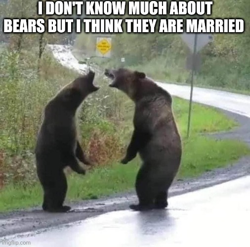 I Don't Know Much About Bears But I Think They Are Married | I DON'T KNOW MUCH ABOUT BEARS BUT I THINK THEY ARE MARRIED | image tagged in chris joines | made w/ Imgflip meme maker