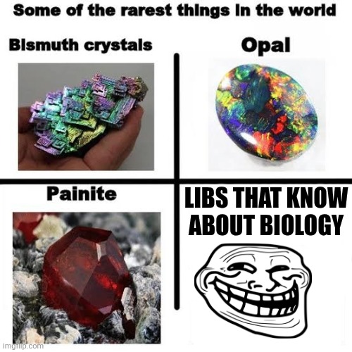 LIBS THAT KNOW ABOUT BIOLOGY | image tagged in some of the rarest things in the world | made w/ Imgflip meme maker