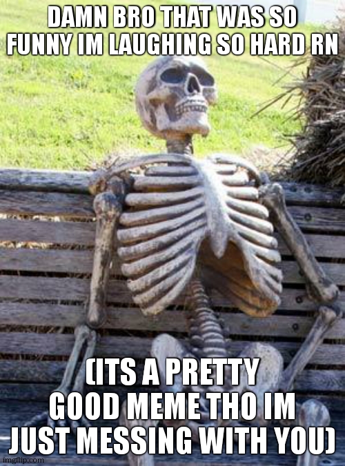 Waiting Skeleton Meme | DAMN BRO THAT WAS SO FUNNY IM LAUGHING SO HARD RN (ITS A PRETTY GOOD MEME THO IM JUST MESSING WITH YOU) | image tagged in memes,waiting skeleton | made w/ Imgflip meme maker