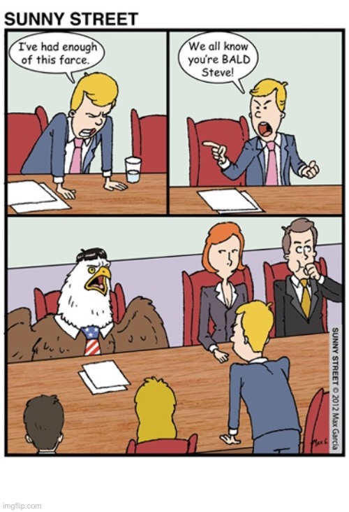 image tagged in comics,sunny street,bald eagle | made w/ Imgflip meme maker